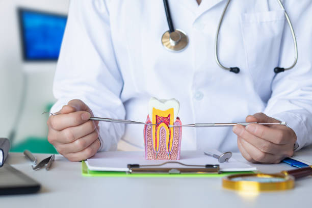 Best Urgent Dental Care in Laurinburg, NC